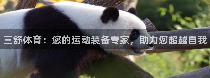 欧陆娱乐注册链接怎么弄的：三舒体育：您的运动装备专家