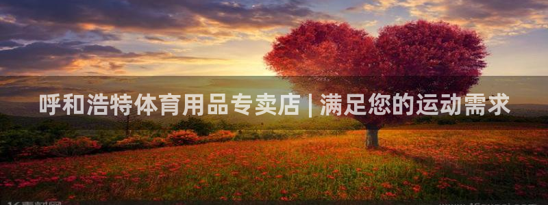 欧陆娱乐平台咋样啊赚钱：呼和浩特体育用品专卖店 | 