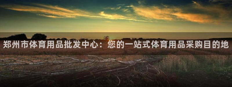 欧陆娱乐测试网站：郑州市体育用品批发中心：您的一站式