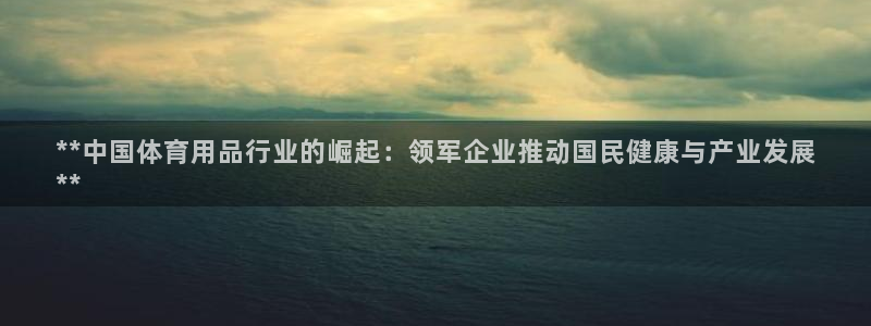欧陆娱乐怎么注册帐号啊：**中国体育用品行业的崛起：