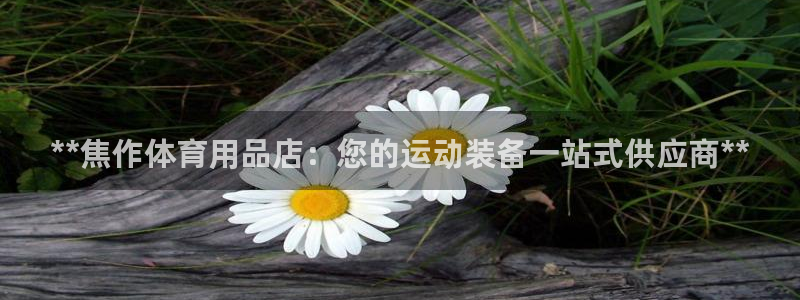 欧陆娱乐计划预测软件哪个好：**焦作体育用品店：您的