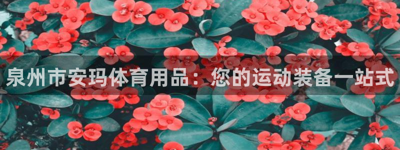 欧陆娱乐登录平台：泉州市安玛体育用品：您的运动装备一