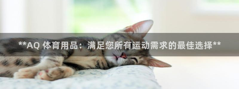 欧陆娱乐官网网址大全：**AQ 体育用品：满足您所有