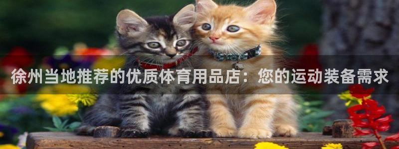 欧陆娱乐是正规平台吗安全吗知乎文章：徐州当地推荐的优