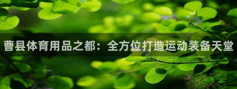 欧陆娱乐登陆官网入口：曹县体育用品之都：全方位打造运