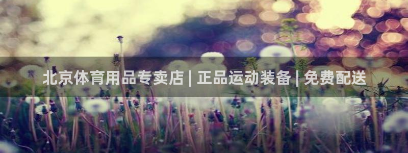 欧陆娱乐打什么方案：北京体育用品专卖店 | 正品运动