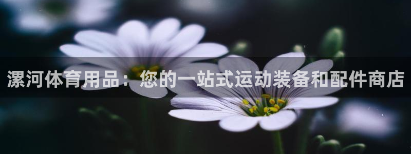 欧陆娱乐登录平台：漯河体育用品：您的一站式运动装备和