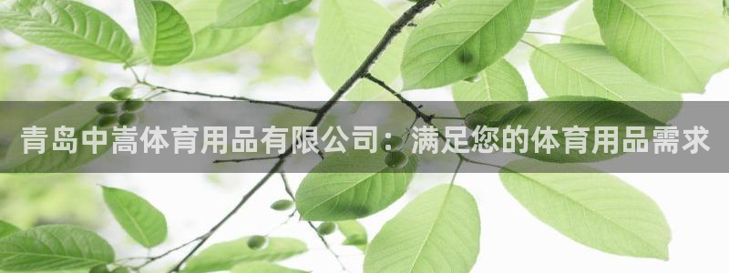 欧陆娱乐测速软件下载：青岛中嵩体育用品有限公司：满足