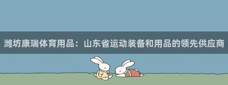 欧陆官网下载：潍坊康瑞体育用品：山东省运动装备和用品