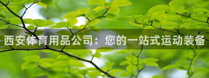 欧陆娱乐会员有什么用：西安体育用品公司：您的一站式运