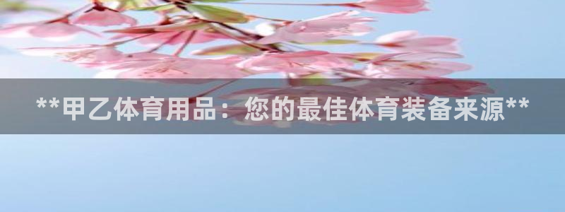 欧陆娱乐共创美好时刻：**甲乙体育用品：您的最佳体育