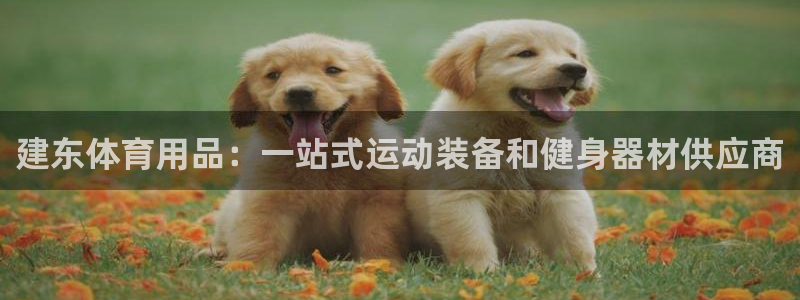 欧陆娱乐官方网站：建东体育用品：一站式运动装备和健身