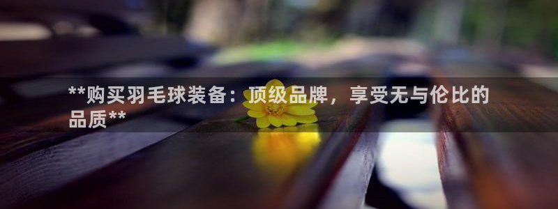 重庆欧陆娱乐有限公司怎么样：**购买羽毛球装备：顶级
