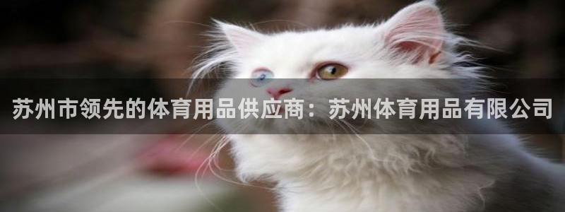 欧陆娱乐：苏州市领先的体育用品供应商：苏州体育用品有