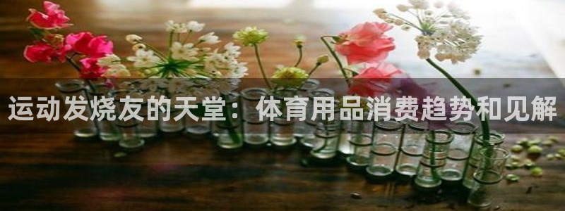 欧陆娱乐提现多久到账：运动发烧友的天堂：体育用品消费