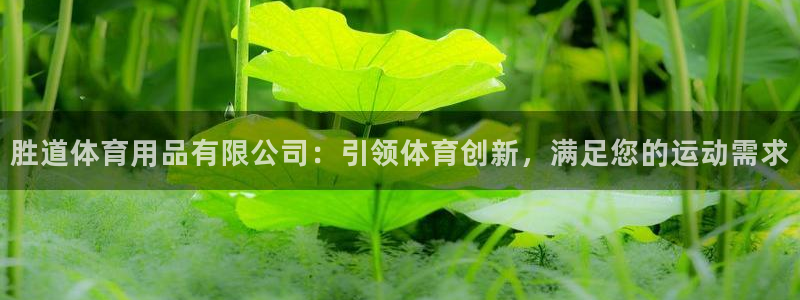 欧陆娱乐平台登录不上去：胜道体育用品有限公司：引领体