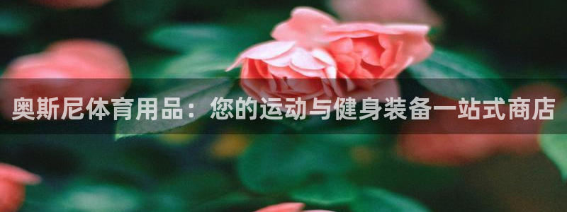 欧陆娱乐注册链接安全吗知乎：奥斯尼体育用品：您的运动