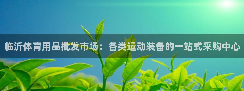 欧陆娱乐平台咋样：临沂体育用品批发市场：各类运动装备