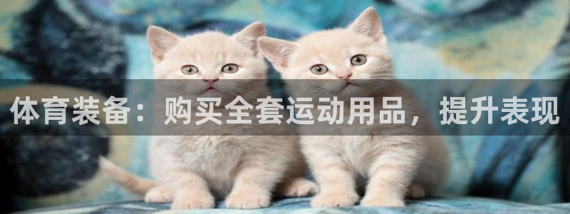 欧陆娱乐官网：体育装备：购买全套运动用品，提升表现