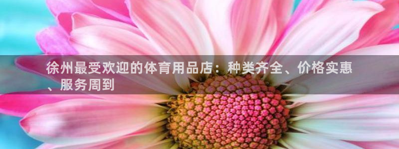 欧陆娱乐官网下载安装手机版：徐州最受欢迎的体育用品店