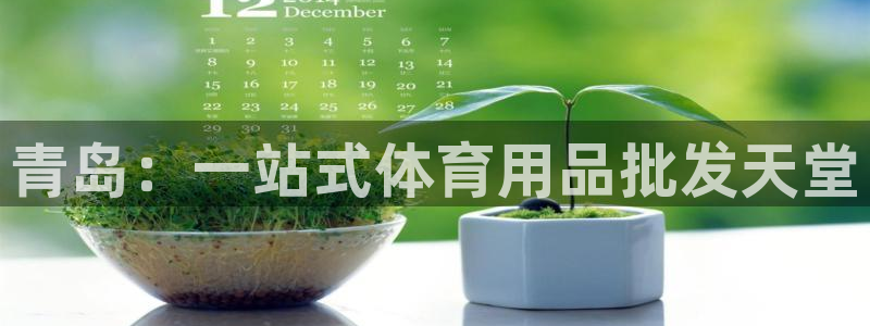 欧陆娱乐计划app官方正版安装下载：青岛：一站式体育