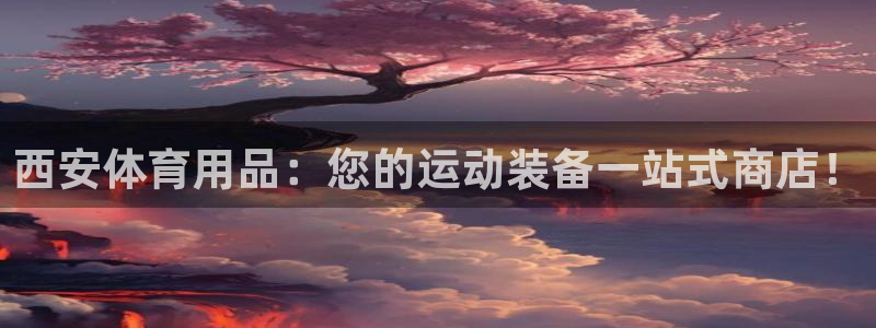 欧陆娱乐平台官网入口：西安体育用品：您的运动装备一站