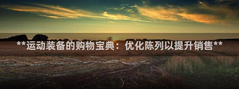 欧陆娱乐官网下载安装：**运动装备的购物宝典：优化陈
