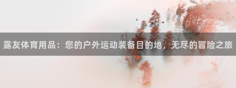 欧陆是什么平台：露友体育用品：您的户外运动装备目的地