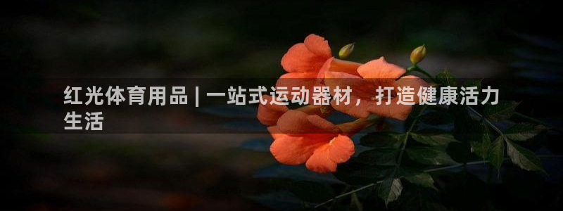 欧陆娱乐登陆官网网址：红光体育用品 | 一站式运动器