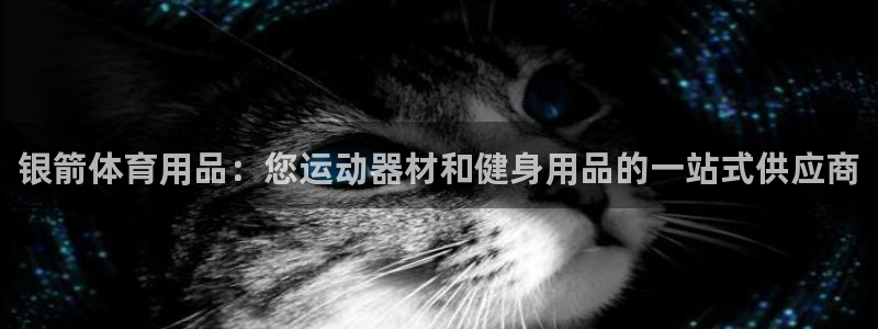 欧陆娱乐试玩官网：银箭体育用品：您运动器材和健身用品