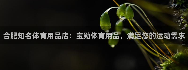 欧陆娱乐游戏：合肥知名体育用品店：宝勋体育用品，满足