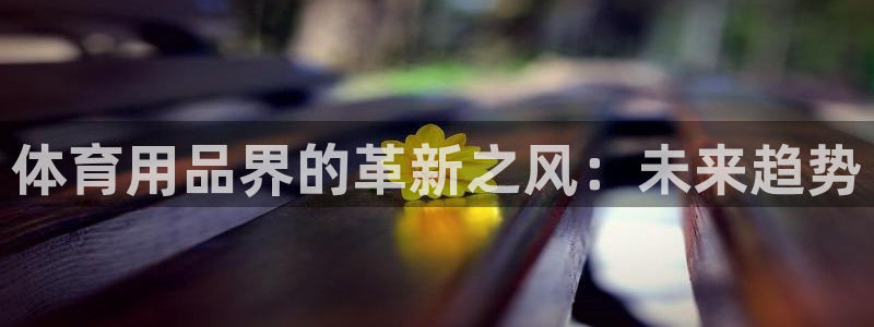 欧陆娱乐合法吗?：体育用品界的革新之风：未来趋势