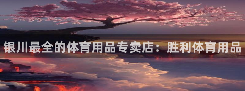 欧陆娱乐不让提现吗：银川最全的体育用品专卖店：胜利体