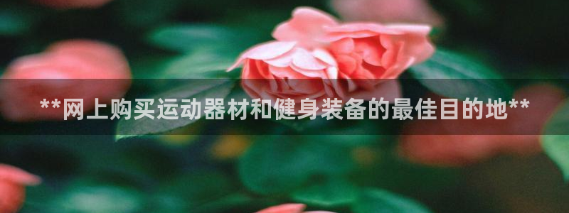 欧陆娱乐官网：**网上购买运动器材和健身装备的最佳目