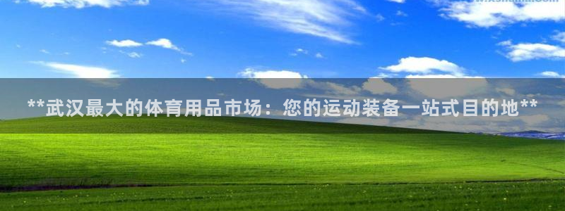 欧陆娱乐app下载：**武汉最大的体育用品市场：您的