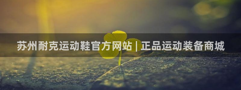 欧陆娱乐共创美好时刻：苏州耐克运动鞋官方网站 | 正