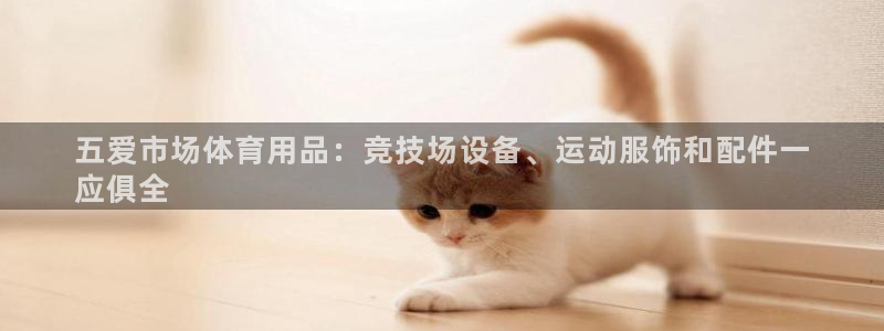 欧陆娱乐挂机项目有哪些：五爱市场体育用品：竞技场设备