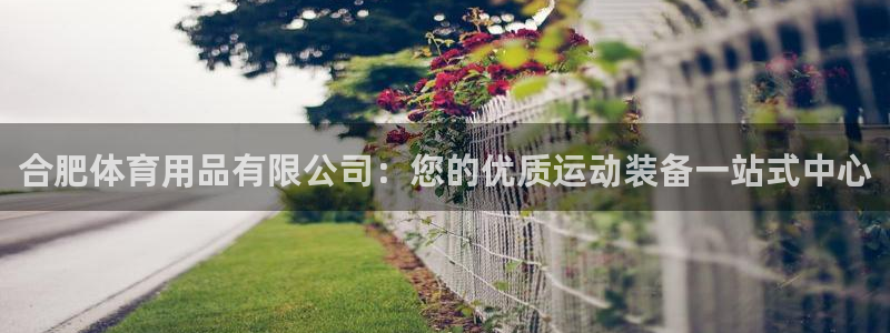 欧陆娱乐平台官网：合肥体育用品有限公司：您的优质运动装备一站