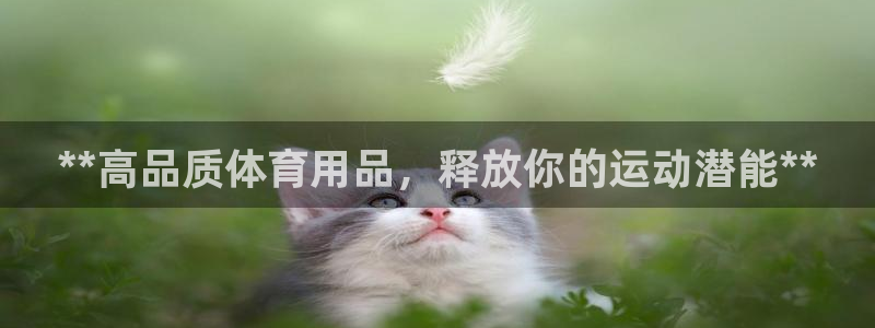 欧陆娱乐提现多久到账：**高品质体育用品，释放你的运