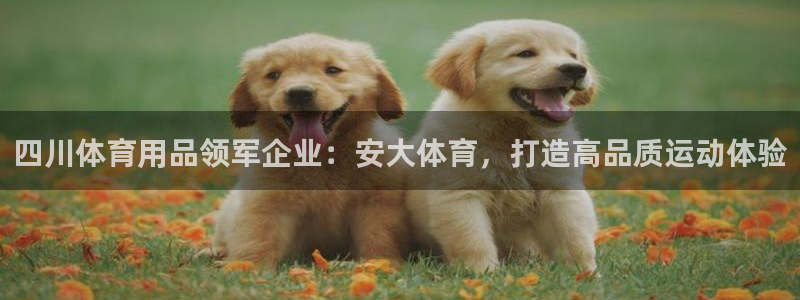 欧陆娱乐怎么注册帐号登录：四川体育用品领军企业：安大