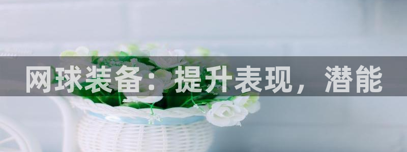 欧陆娱乐注册代理多少钱一年：网球装备：提升表现，潜能