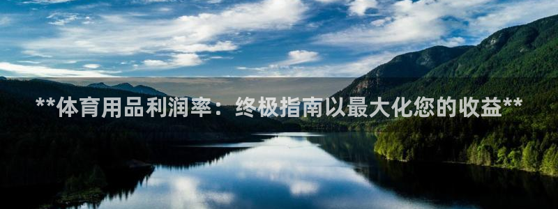欧陆娱乐平台登录不上去：**体育用品利润率：终极指南以最大化