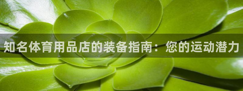 欧陆娱乐登陆平台：知名体育用品店的装备指南：您的运动