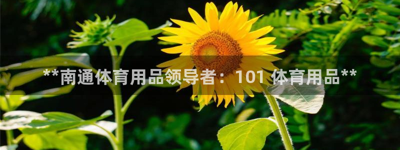 欧陆娱乐代理多少个点位合适：**南通体育用品领导者：