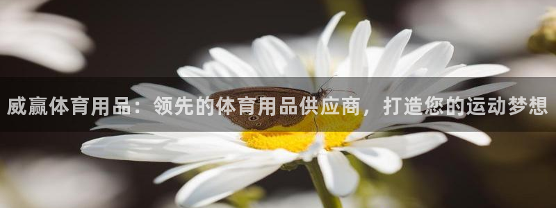 欧陆官网下载：威赢体育用品：领先的体育用品供应商，打