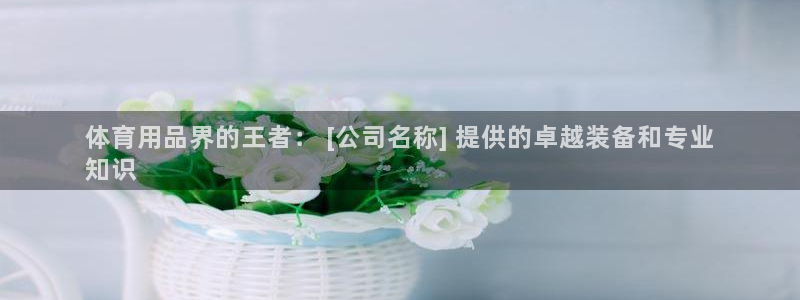 欧陆娱乐有限公司官网：体育用品界的王者： [公司名称