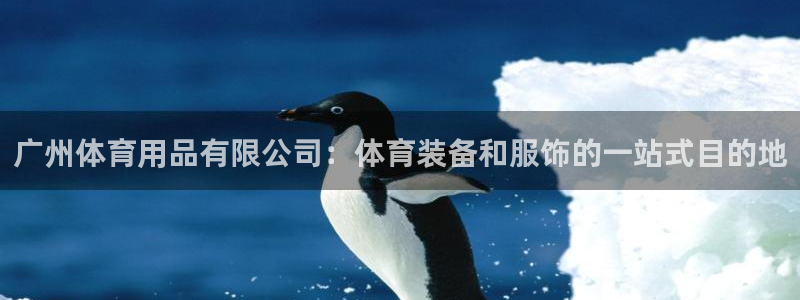 欧陆官网下载：广州体育用品有限公司：体育装备和服饰的