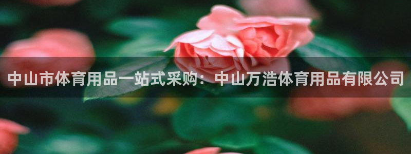 欧陆娱乐官网首页：中山市体育用品一站式采购：中山万浩