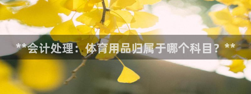欧陆娱乐客服人工电话：**会计处理：体育用品归属于哪个科目？