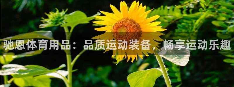 欧陆娱乐共创美好：驰恩体育用品：品质运动装备，畅享运